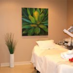 Our Northern Virginia Cosmetic Surgery Office